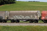 4668 732 (Shimmns) von  ARIR-RAIL  am 26. Juni 2026 bei Axdorf.