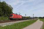 br-1016/854533/1016-015-mit-einem-gemischten-gueterzug 1016 015 mit einem gemischten Gterzug auf dem Weg nach Salzburg. Aufgenommen am 15. Mai 2024 bei Weisham im Chiemgau.