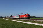 1016 046 war am 30.