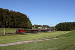 1116 202 aus Salzburg kommend am 25. Oktober 2023 bei Axdorf.