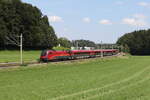 1116 248 aus Salzburg kommend am 7. August 2024 bei Axdorf im Chiemgau.