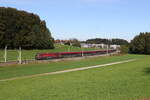 1116 207 aus Salzburg kommend am 6. Oktober 2024 bei Axdorf.