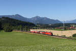 1116 194 und 1293 179 mit einem gemischten Gterzug aus Mnchen kommend am 19. Juli 2025 bei Vachendorf im Chiemgau.