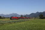 1116 230 war am 25. Juni 2026 bei Bernau am Chiemsee in Richtung Rosenheim unterwegs.