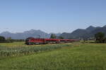 1116 201 aus Salzburg kommend am 25. Juni 2026 bei Bernau am Chiemsee.