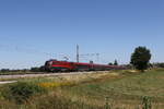 1116 209 aus Salzburg kommend am 14. August 2026 bei �bersee am Chiemsee.
