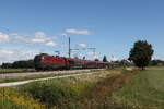 1116 213 aus Salzburg kommend am 1. September 2026 bei �bersee am Chiemsee.