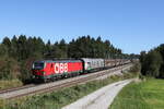 1293 193 mit einem gemischten Güterzug aus Salzburg kommend am 25.