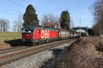 1293 013 aus Salzburg kommend am 1. Januar 2025 bei bersee am Chiemsee.