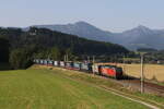 1293 032 mit einem  KLV  aus Mnchen kommend am 13.