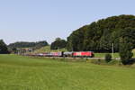 1293 197 mit einem gemischten Gterzug auf dem Weg nach Salzburg.