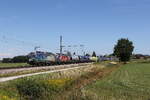 1293 201 und 6193 442 von 'CT-Train' mit einem gemischten G�terzug aus Salzburg kommend am 19. August 2026 bei �bersee am Chiemsee.