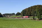 1293 134war mit einem Stahlzug am 29. September 2026 bei Axdorf in Richtung Salzburg  unterwegs.