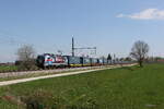 6193 134 von  DPB  mit einem  KLV  aus Salzburg kommend am 17. April 2026 bei �bersee am Chiemsee.