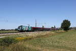 1116 243 'JOYN' war am 13. August 2026 bei �bersee am Chiemsee auf dem Weg nach M�nchen.