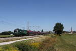 1116 248  Steiermark  aus Salzburg kommend am 14. August 2026 bei �bersee am Chiemsee.