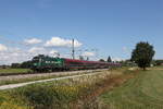1116 248 'Steiermark' am 1. September 2026 aus Salzburg kommend bei �bersee am Chiemsee.