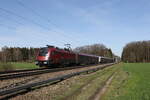 1116 222 war am 20. M�rz 2024 nach Innsbruck unterwegs. Aufgenommen bei Brannenburg im Inntal.