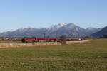 1116 201  Spirit of Vienna  war am 18. Mrz 2025 bei Bernau am Chiemsee in Richtung Rosenheim unterwegs.