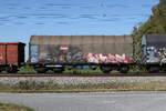 4673 397 (Shimmns) von 'RCW' am 28. September 2026 bei �bersee.
