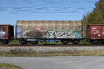 4673 396 (Shimmns) von 'RCW' am 28. September 2026 bei �bersee am Chiemsee.