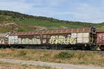 2742 295 (Habbiins) von  Rail Cargo Austria  am 5.