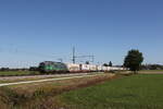 6193 258 war mit einem 'EKOL-KLV' auf dem Weg nach M�nchen. Aufgenommen am 28. September 2026 bei �bersee am Chiemsee.