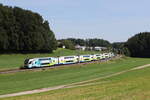 4010 019 aus Wien kommend am 15. August 2024 bei Axdorf.