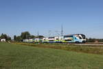 4010 022 aus Rosenheim kommend am 13. August 2026 bei �bersee am Chiemsee.