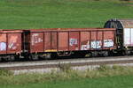 5330 238 (Eaos-x) am 9. Oktober 2024 bei Axdorf.