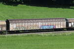 2745 439 (Habiins) von 'RWA' am 13. Juni 2025 bei Axdorf.