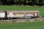 2739 576 (Habbiins) von 'RCW' am 9. Oktober 2024 bei Axdorf.