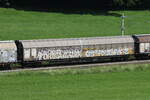 2740 730 (Habbiins) von 'TWA' am 13. Juni 2025 bei Axdorf.