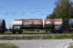 7836 729 (Zans) von 'VTG' am 19. August 2026 bei �bersee.