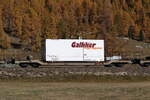 Containertragwagen Sb 65685 mit einem Container der Firma  GALLIKER  am 26. Oktober 2021 bei Bever.