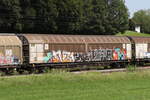 2770 647 (Habbins) von  TWA  am 7. August 2024 bei Axdorf.