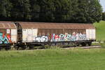 2772 087 (Habbins) von  TWA  am 7. August 2024 bei Axdorf.