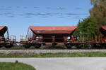 6992 521 (Faces) der  CW AG  am 25. April 2026 bei �bersee.