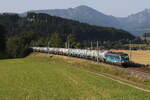 393 002 von  CD Cargp  mit einem Kesselwagenzug aus Mnchen kommend am 13.