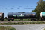 7846 148 (Zacns) von 'WASCOSA' am 19. August 2026 bei �bersee.