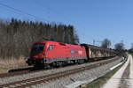 1116 048 mit dem  Audi-Zug  am 1. April 2020 aus Salzburg kommend bei Grabensttt im Chiemgau.